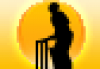 Cricket Companion