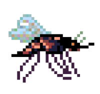 Mosquito Romeber 1